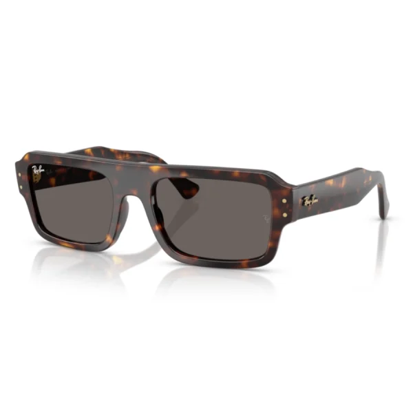 Ray-Ban 4454 | CristalesGafas